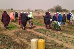 Promoting Agricultural Competitiveness through Solar Energy (PAC-SOLAR) Niger 1