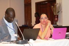 Training of ECOWAS Journalists on RE&EE in Dakar 11