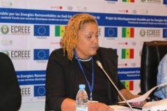 Training of ECOWAS Journalists on RE&EE in Dakar 2