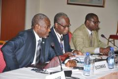 ECOWAS workshop on Appliance Standards and Regulations-3