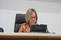 Regional Workshop – ECOWAS RE AND EE National Action Plans and SE4ALL Action Agendas-8
