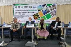 ECOWAS Sustainable Energy Week 47