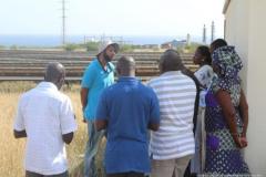High Level Delegation from The Gambia Energy and Environment Sectors visits Cabo Verde for Study Tour 13