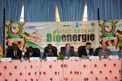 ECOWAS REGIONAL BIOENERGY FORUM, Bamako-2