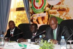 ECOWAS REGIONAL BIOENERGY FORUM, Bamako-3