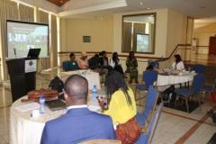 Clean Energy Summit Africa in Accra – Ghana 10