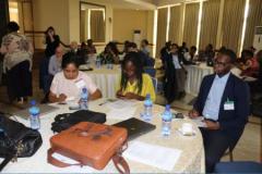 Clean Energy Summit Africa in Accra – Ghana 7