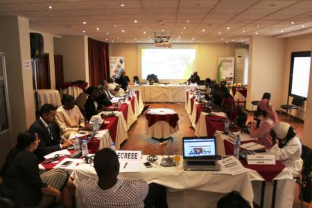 Training of ECOWAS Journalists on RE&EE in Dakar