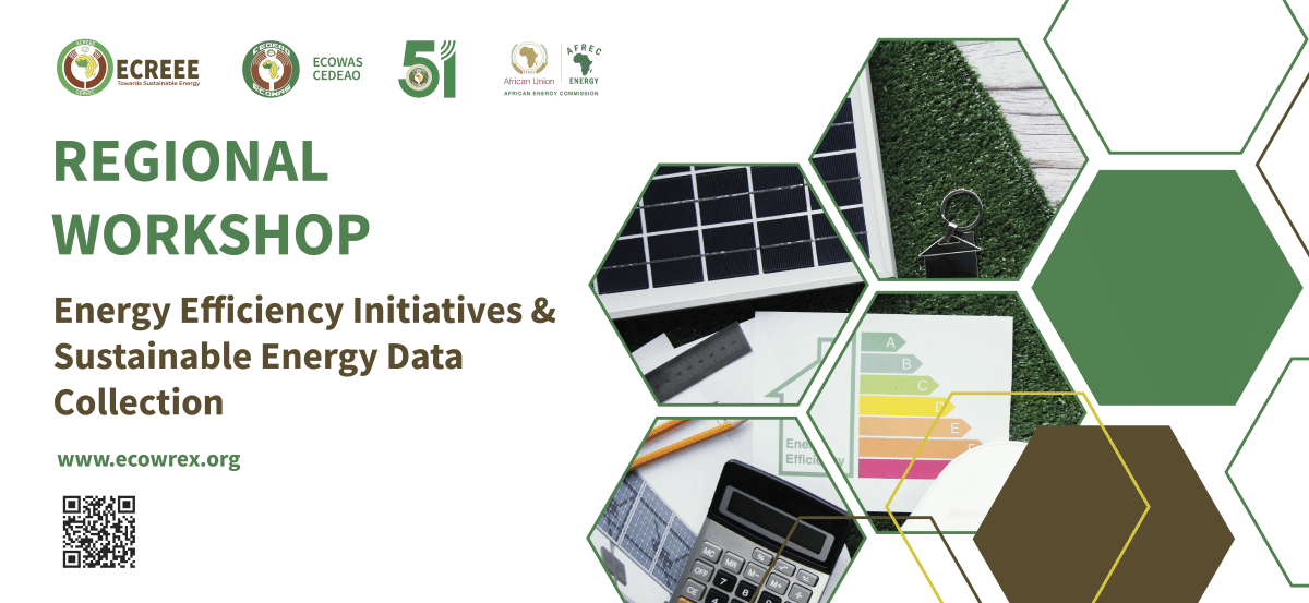 ECOWAS Regional Workshop on Energy Efficiency Data Collection